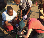 Citizen-scientists test concentrations of lead in soil in Kabwe, Zambia.